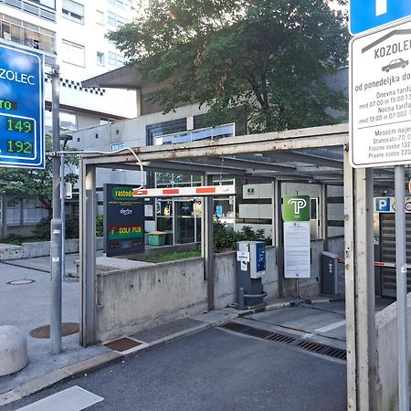 Slovenian Art Story Lägenhet Ljubljana Exteriör bild