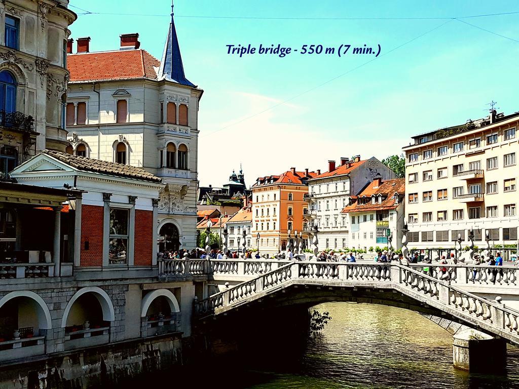 Slovenian Art Story Lägenhet Ljubljana Exteriör bild