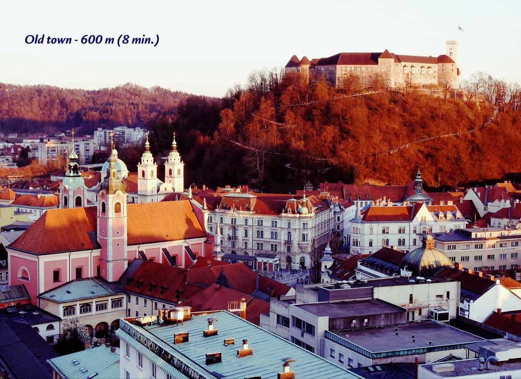 Slovenian Art Story Lägenhet Ljubljana Exteriör bild